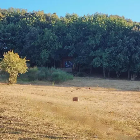 Le Chalet Des Cigales * Alairac